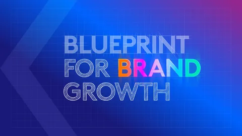 A Blueprint for Sustainable Channel Growth and Brand Impact